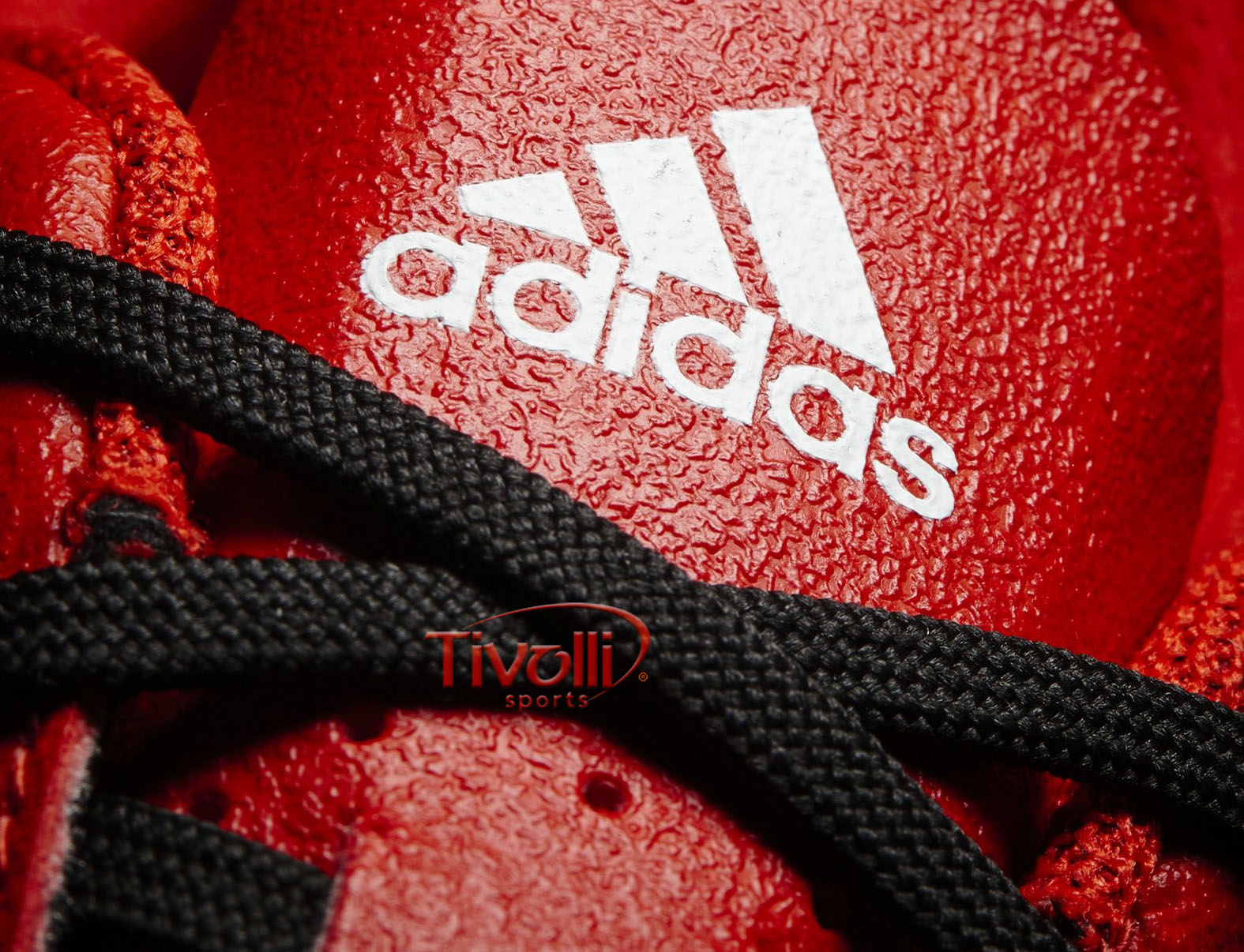 Chuteira Adidas Ace 17.4 FGX Campo > >